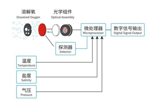 一体式荧光法溶氧传感器工作原理